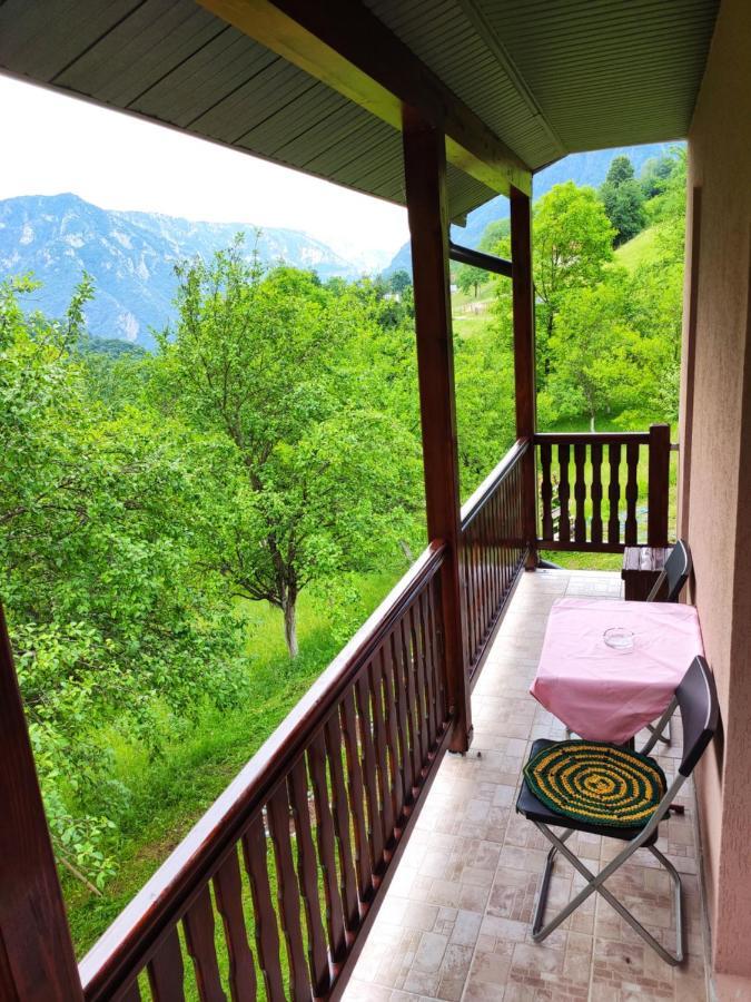 Privatni Smjestaj "Mratinje" Guest House Pluzine Exterior photo